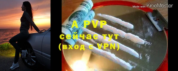 ПСИЛОЦИБИНОВЫЕ ГРИБЫ Зеленодольск