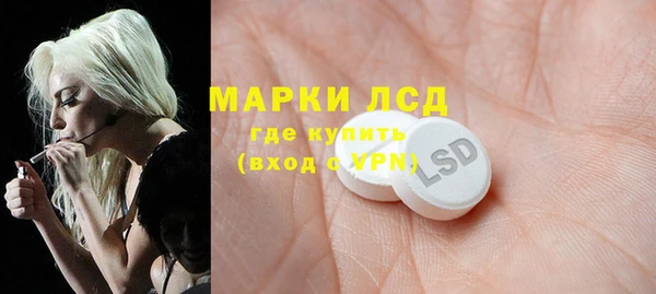 ПСИЛОЦИБИНОВЫЕ ГРИБЫ Зеленодольск